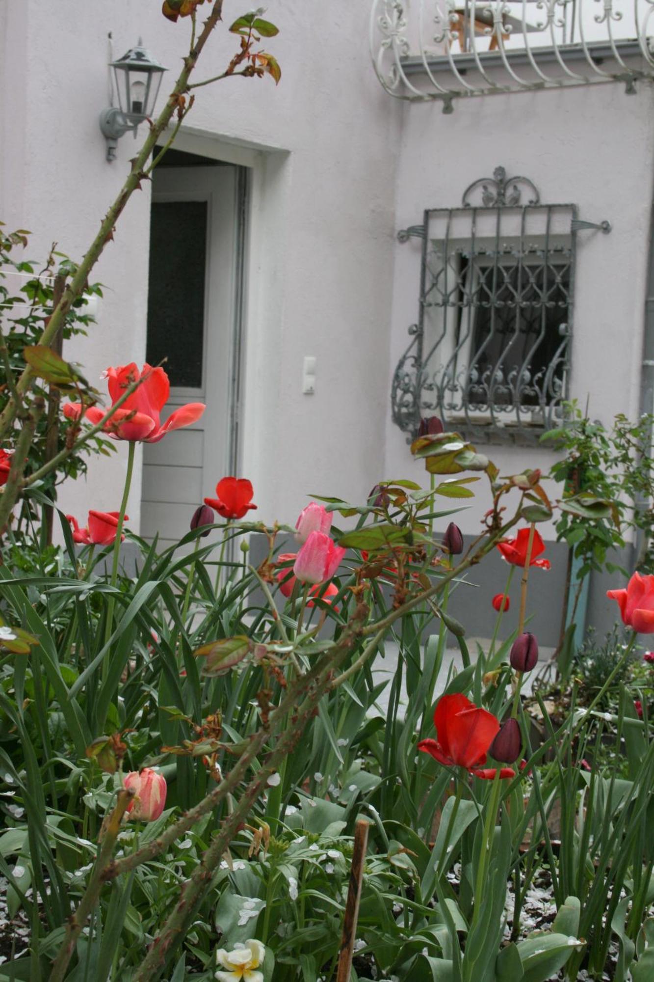 Appertment Im Garten Apartment Worms Bagian luar foto