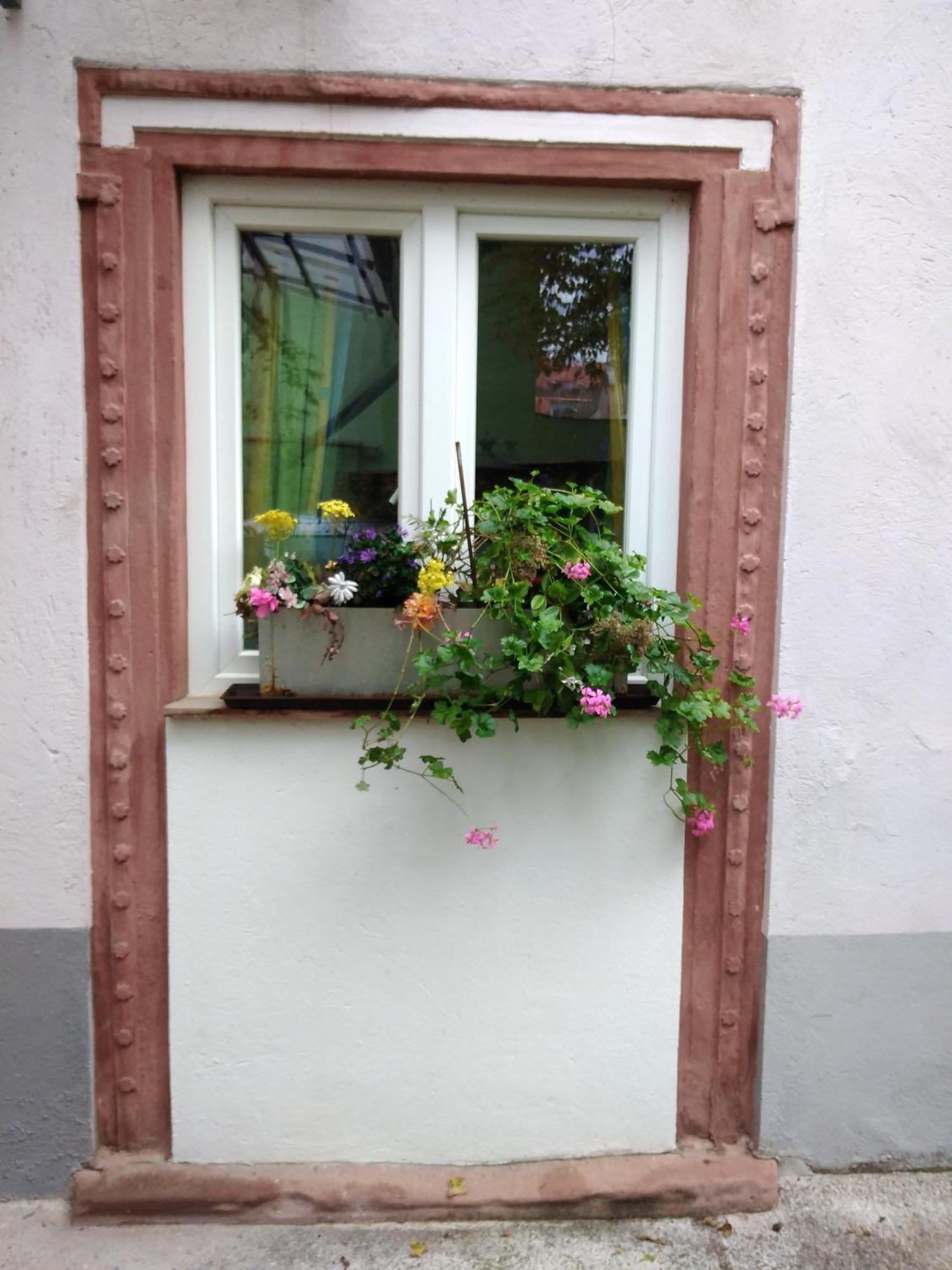 Appertment Im Garten Apartment Worms Bagian luar foto